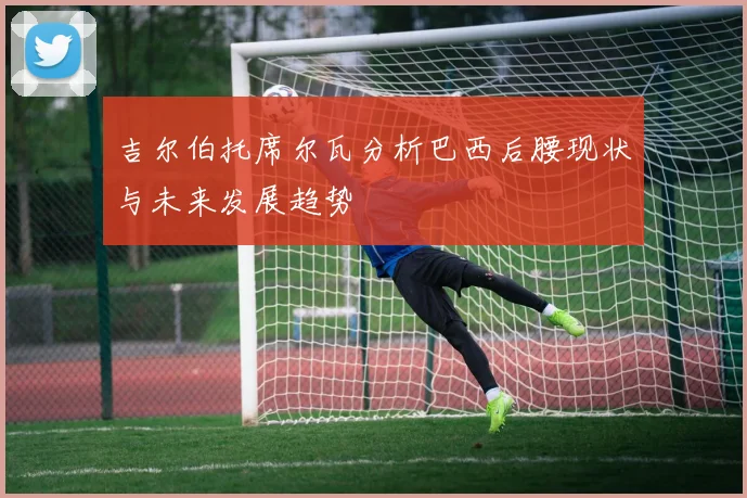 吉尔伯托席尔瓦分析巴西后腰现状与未来发展趋势